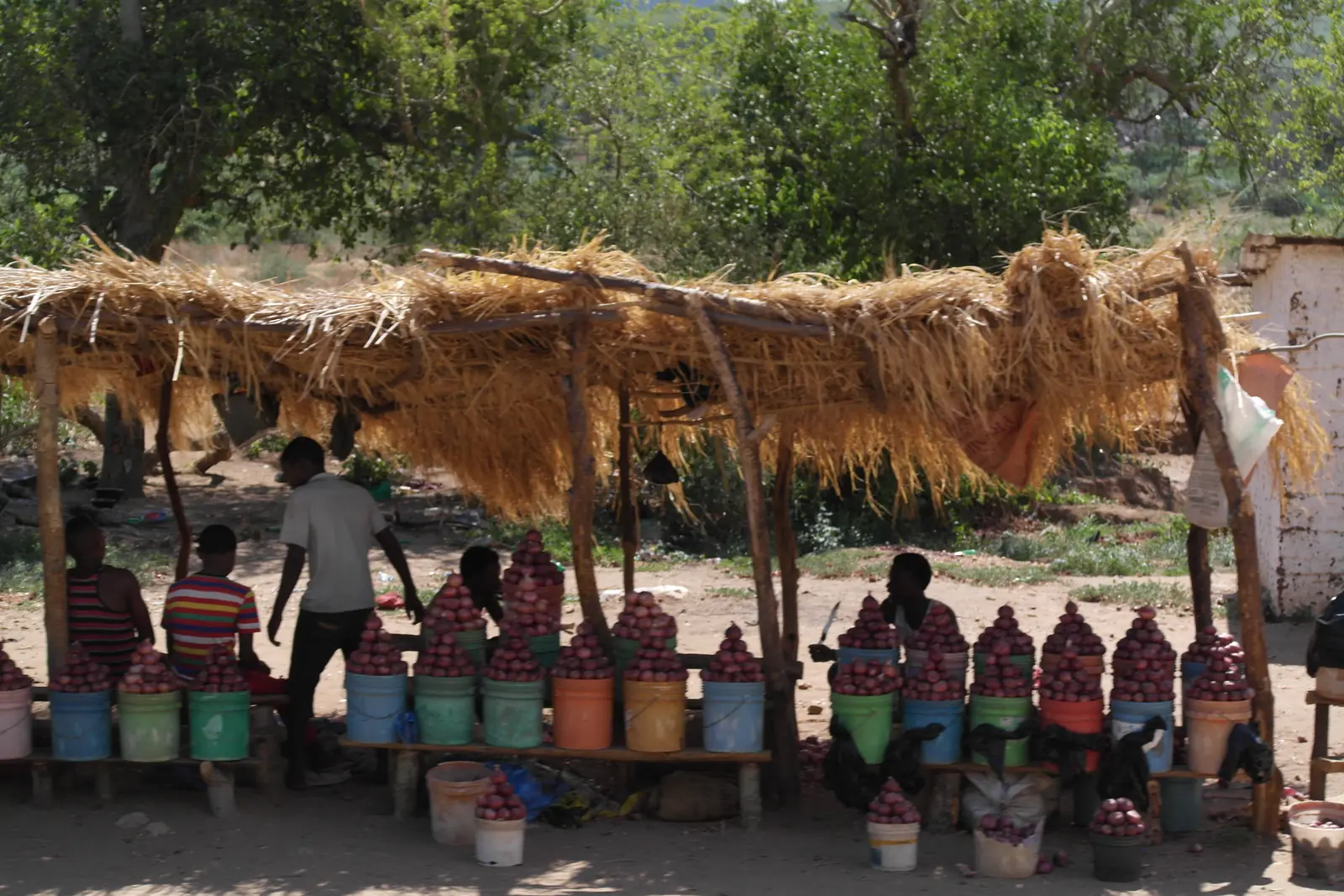 Traders selling tomatoes and onions under a thatched roadside stall in Tanzania